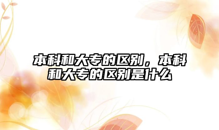 本科和大專的區(qū)別，本科和大專的區(qū)別是什么