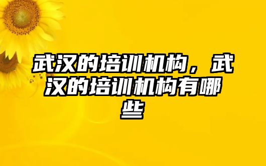 武漢的培訓(xùn)機(jī)構(gòu)，武漢的培訓(xùn)機(jī)構(gòu)有哪些