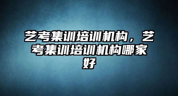 藝考集訓培訓機構，藝考集訓培訓機構哪家好