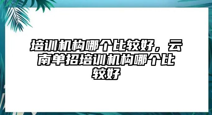 培訓機構哪個比較好，云南單招培訓機構哪個比較好