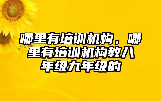 哪里有培訓機構(gòu)，哪里有培訓機構(gòu)教八年級九年級的