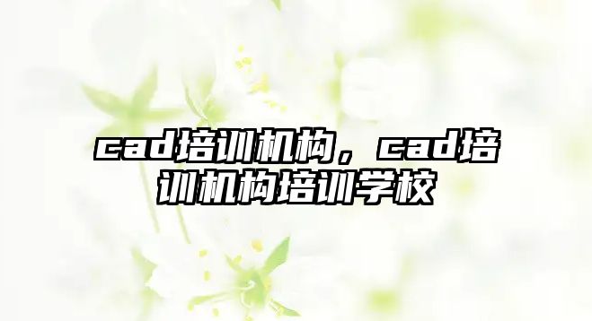 cad培訓機構(gòu)，cad培訓機構(gòu)培訓學校