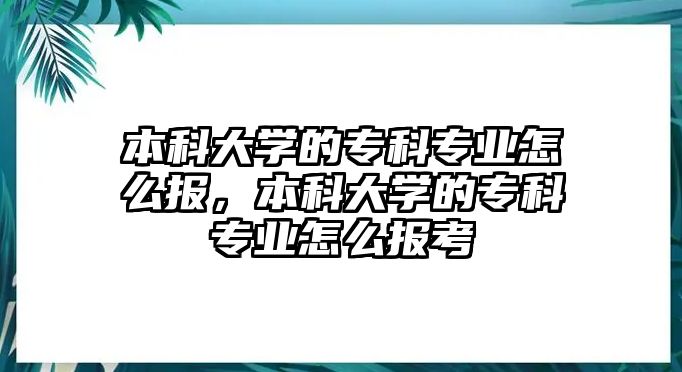 本科大學(xué)的專科專業(yè)怎么報(bào)，本科大學(xué)的專科專業(yè)怎么報(bào)考