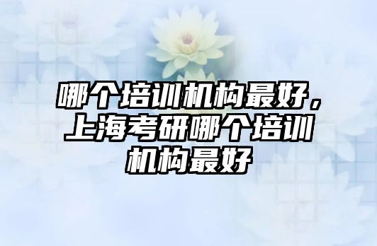 哪個(gè)培訓(xùn)機(jī)構(gòu)最好，上?？佳心膫€(gè)培訓(xùn)機(jī)構(gòu)最好