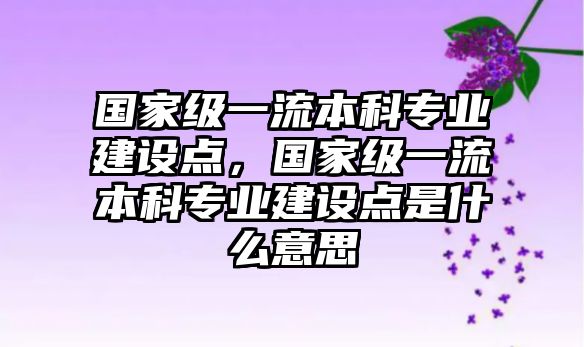 國家級一流本科專業(yè)建設(shè)點，國家級一流本科專業(yè)建設(shè)點是什么意思