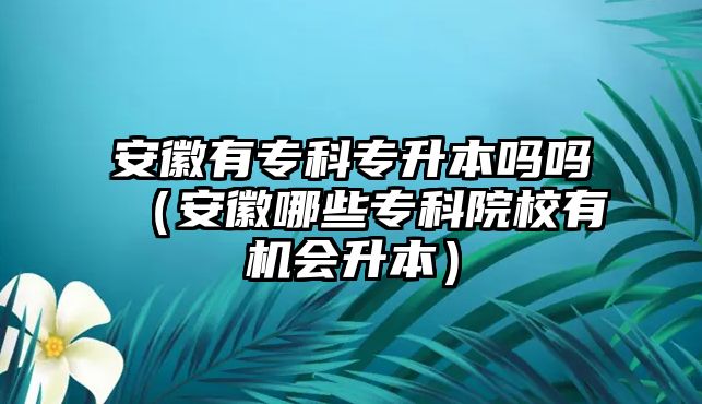 安徽有專科專升本嗎嗎（安徽哪些專科院校有機會升本）