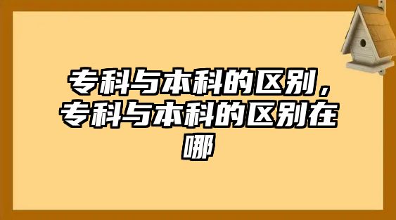 專科與本科的區(qū)別，專科與本科的區(qū)別在哪