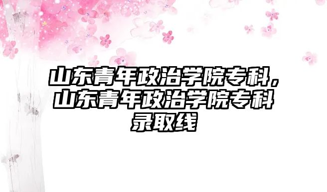 山東青年政治學(xué)院專科，山東青年政治學(xué)院專科錄取線