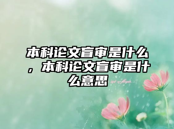 本科論文盲審是什么，本科論文盲審是什么意思