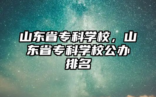 山東省專科學校，山東省專科學校公辦排名