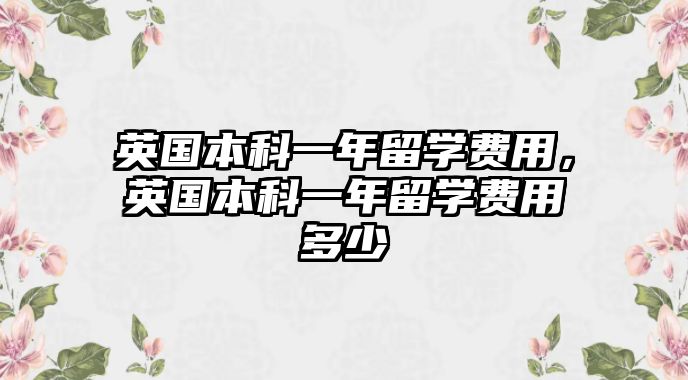 英國本科一年留學費用，英國本科一年留學費用多少