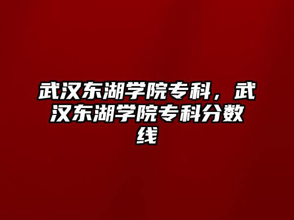 武漢東湖學(xué)院專科，武漢東湖學(xué)院專科分?jǐn)?shù)線