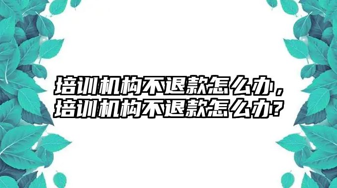 培訓(xùn)機(jī)構(gòu)不退款怎么辦，培訓(xùn)機(jī)構(gòu)不退款怎么辦?