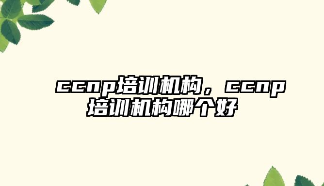 ccnp培訓(xùn)機(jī)構(gòu)，ccnp培訓(xùn)機(jī)構(gòu)哪個好