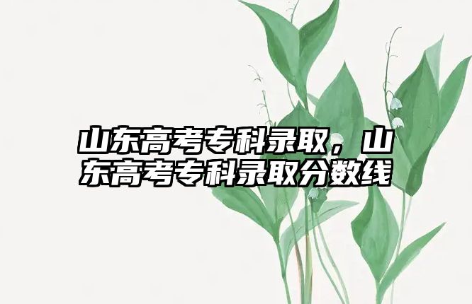 山東高考專科錄取，山東高考專科錄取分?jǐn)?shù)線