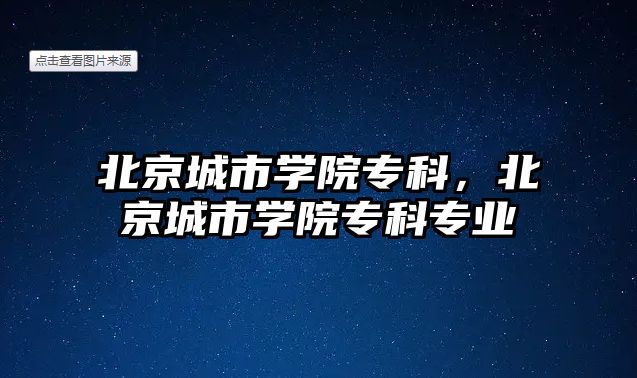 北京城市學院專科，北京城市學院專科專業(yè)