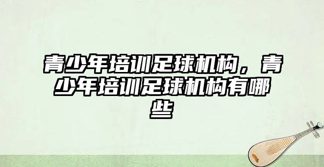 青少年培訓(xùn)足球機構(gòu)，青少年培訓(xùn)足球機構(gòu)有哪些