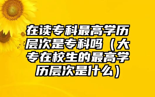 在讀專科最高學歷層次是專科嗎（大專在校生的最高學歷層次是什么）