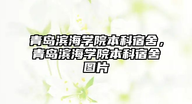 青島濱海學院本科宿舍，青島濱海學院本科宿舍圖片