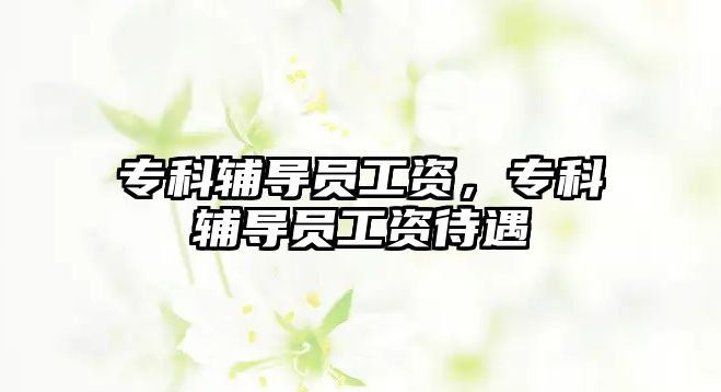 專科輔導(dǎo)員工資，專科輔導(dǎo)員工資待遇