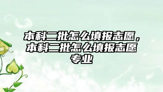 本科二批怎么填報(bào)志愿，本科二批怎么填報(bào)志愿專業(yè)