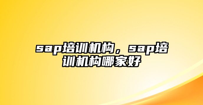 sap培訓(xùn)機(jī)構(gòu)，sap培訓(xùn)機(jī)構(gòu)哪家好