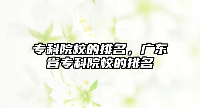 專科院校的排名，廣東省專科院校的排名