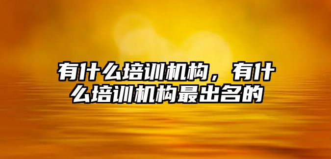 有什么培訓(xùn)機(jī)構(gòu)，有什么培訓(xùn)機(jī)構(gòu)最出名的