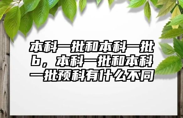 本科一批和本科一批b，本科一批和本科一批預(yù)科有什么不同