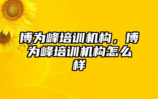 博為峰培訓(xùn)機(jī)構(gòu)，博為峰培訓(xùn)機(jī)構(gòu)怎么樣