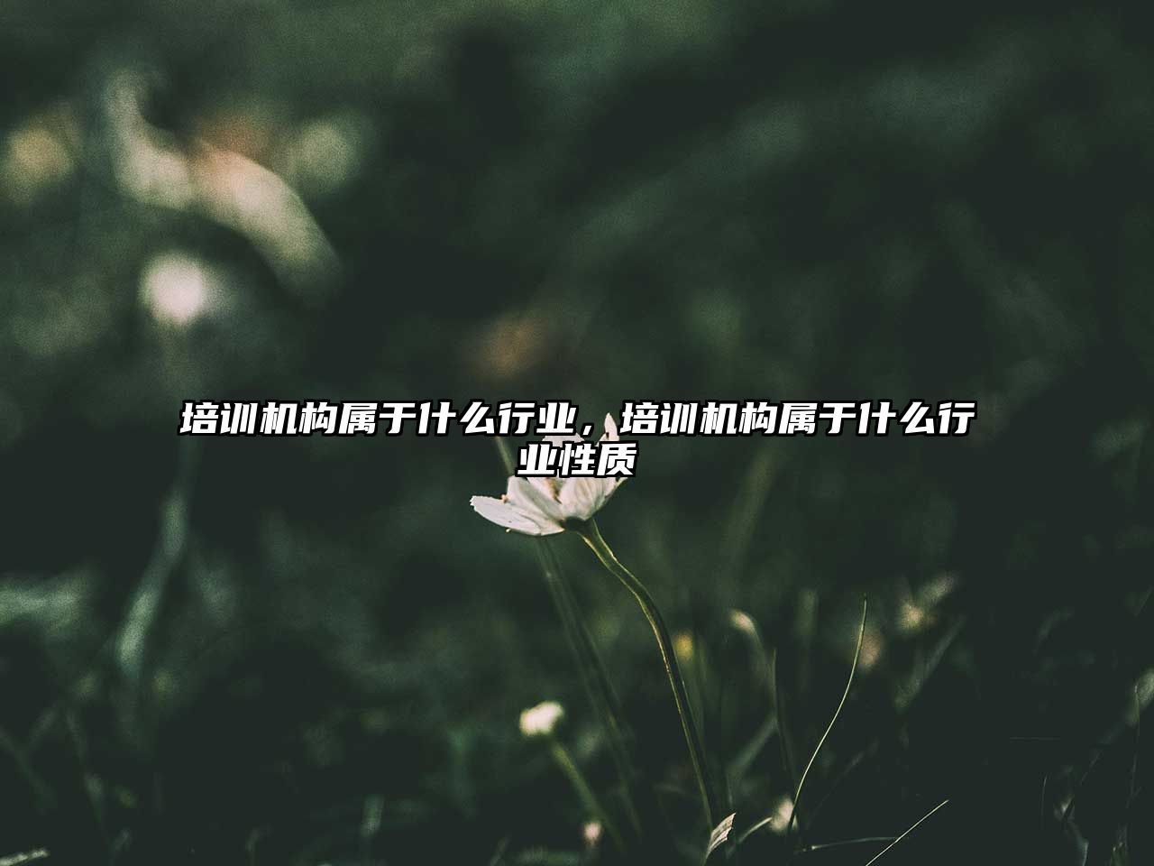 培訓機構屬于什么行業(yè)，培訓機構屬于什么行業(yè)性質(zhì)