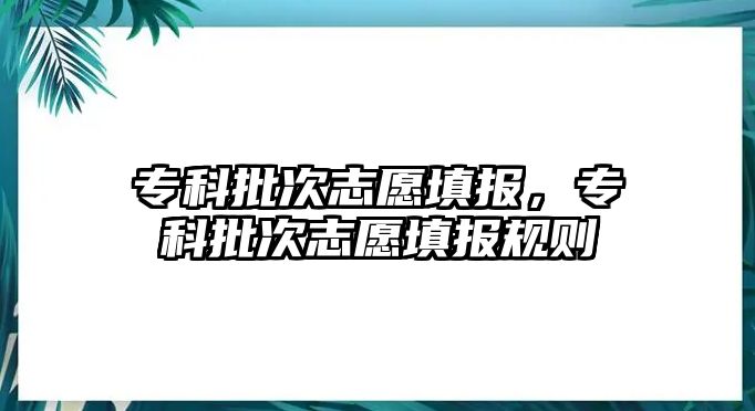 專科批次志愿填報(bào)，專科批次志愿填報(bào)規(guī)則