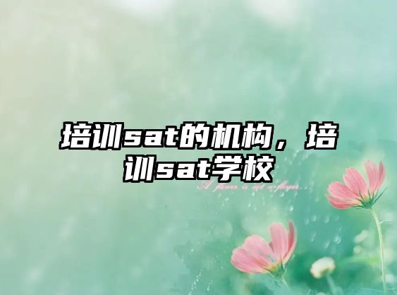 培訓(xùn)sat的機構(gòu)，培訓(xùn)sat學(xué)校