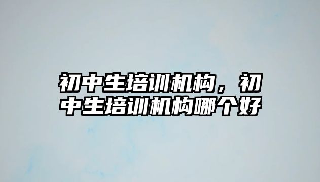 初中生培訓(xùn)機(jī)構(gòu)，初中生培訓(xùn)機(jī)構(gòu)哪個(gè)好