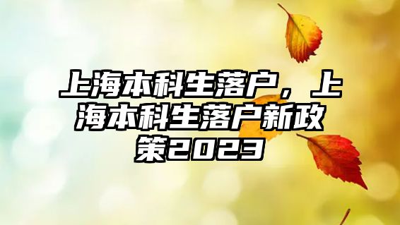 上海本科生落戶，上海本科生落戶新政策2023