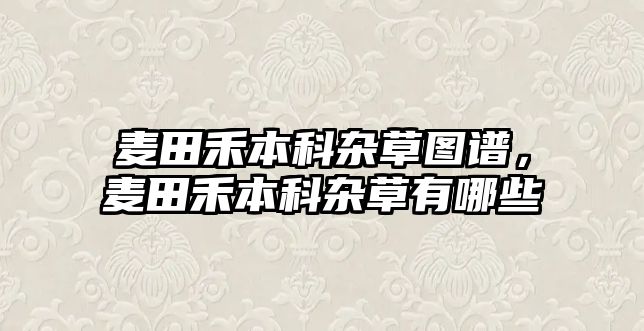 麥田禾本科雜草圖譜，麥田禾本科雜草有哪些