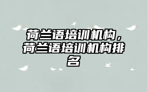 荷蘭語培訓(xùn)機(jī)構(gòu)，荷蘭語培訓(xùn)機(jī)構(gòu)排名