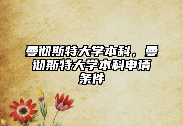 曼徹斯特大學本科，曼徹斯特大學本科申請條件