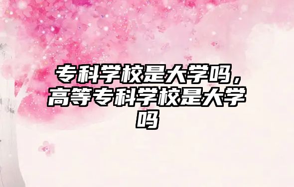 專科學(xué)校是大學(xué)嗎，高等專科學(xué)校是大學(xué)嗎