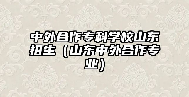 中外合作專科學校山東招生（山東中外合作專業(yè)）