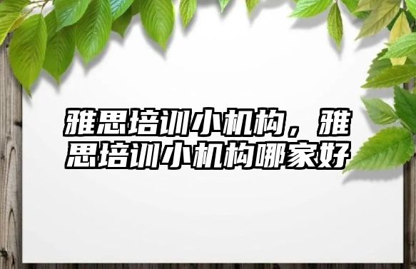 雅思培訓小機構，雅思培訓小機構哪家好