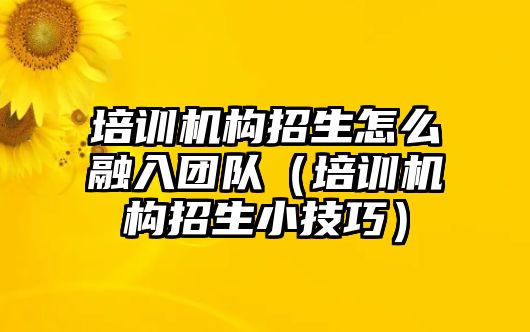 培訓(xùn)機構(gòu)招生怎么融入團(tuán)隊（培訓(xùn)機構(gòu)招生小技巧）