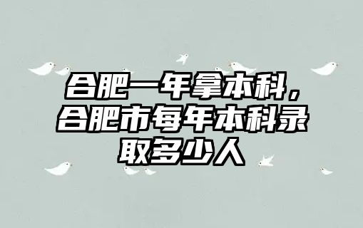 合肥一年拿本科，合肥市每年本科錄取多少人