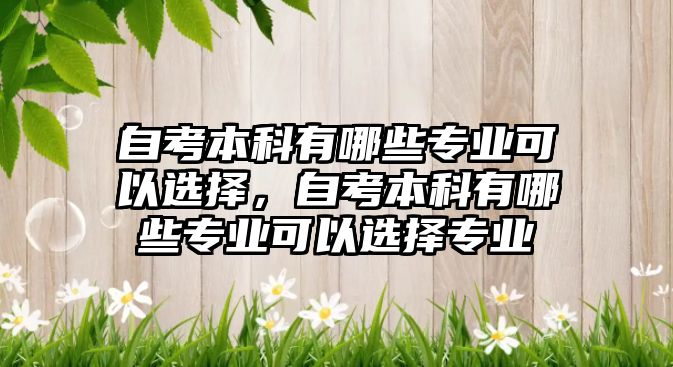 自考本科有哪些專業(yè)可以選擇，自考本科有哪些專業(yè)可以選擇專業(yè)