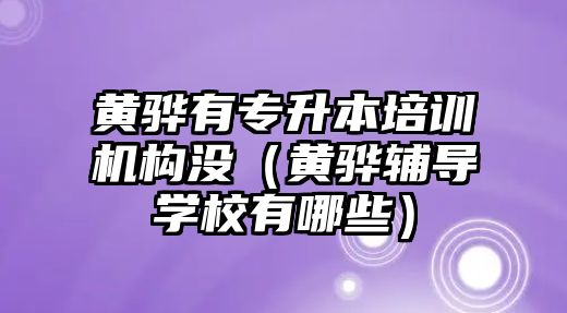 黃驊有專升本培訓(xùn)機構(gòu)沒（黃驊輔導(dǎo)學(xué)校有哪些）