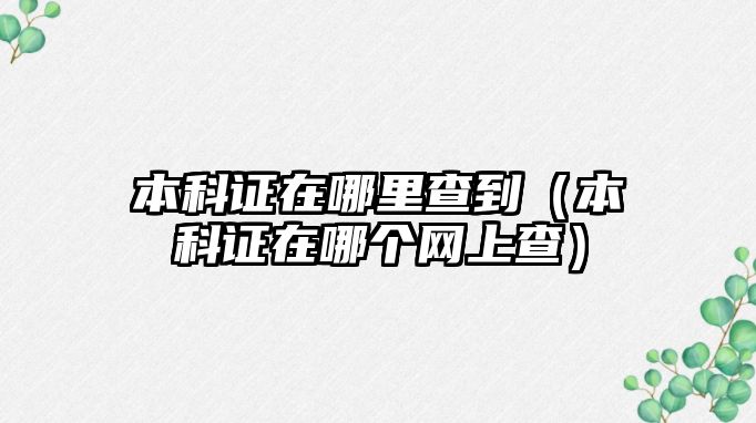 本科證在哪里查到（本科證在哪個網(wǎng)上查）