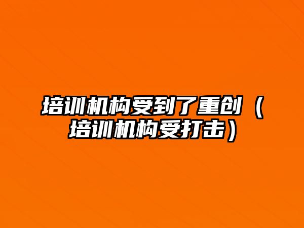 培訓(xùn)機(jī)構(gòu)受到了重創(chuàng)（培訓(xùn)機(jī)構(gòu)受打擊）