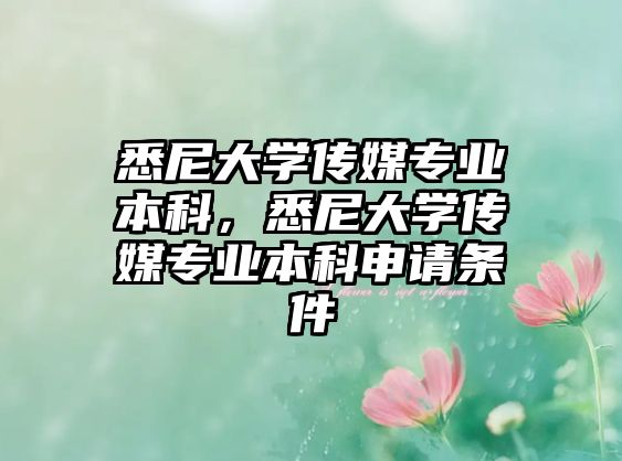 悉尼大學傳媒專業(yè)本科，悉尼大學傳媒專業(yè)本科申請條件