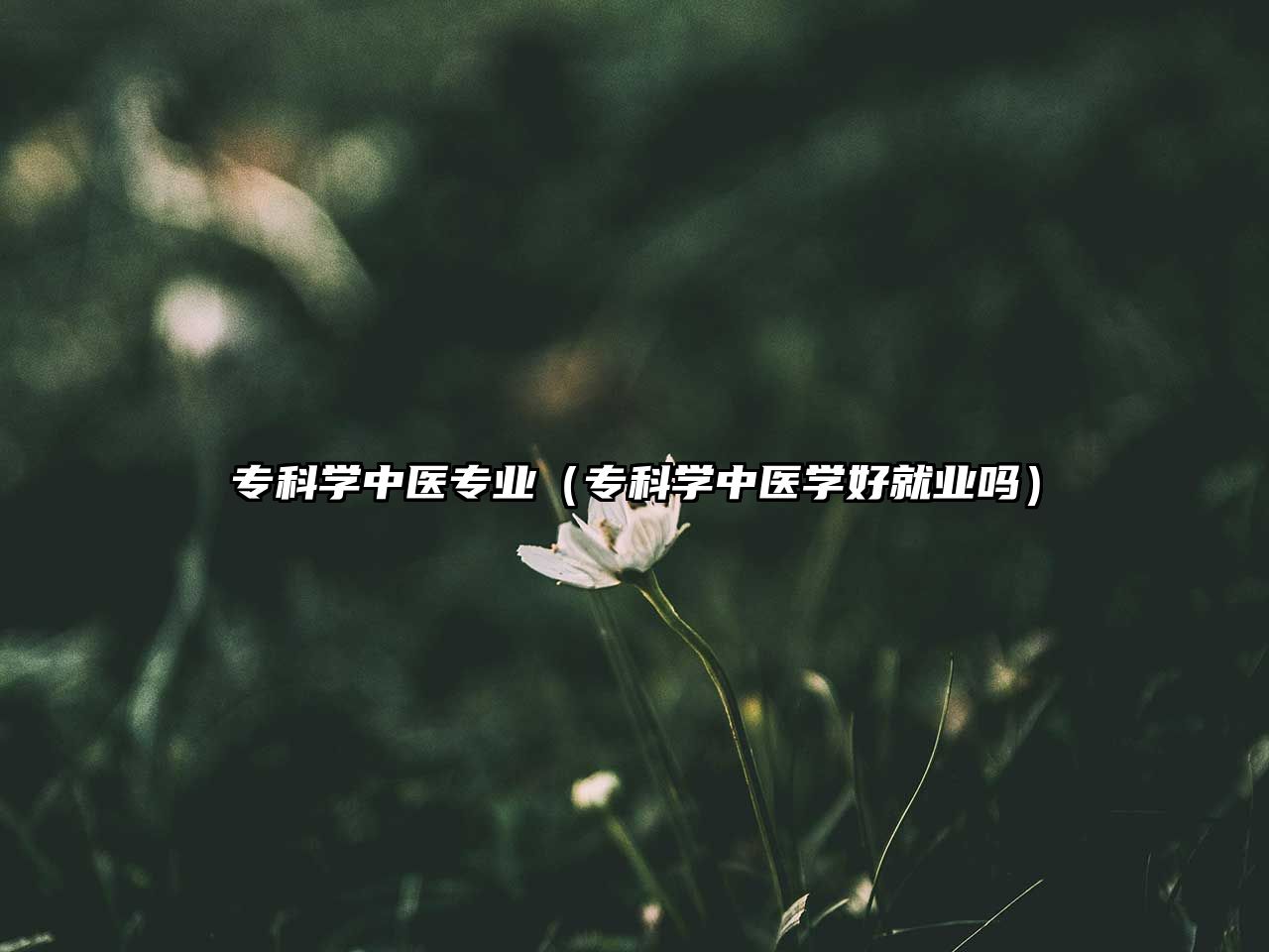 專科學(xué)中醫(yī)專業(yè)（專科學(xué)中醫(yī)學(xué)好就業(yè)嗎）