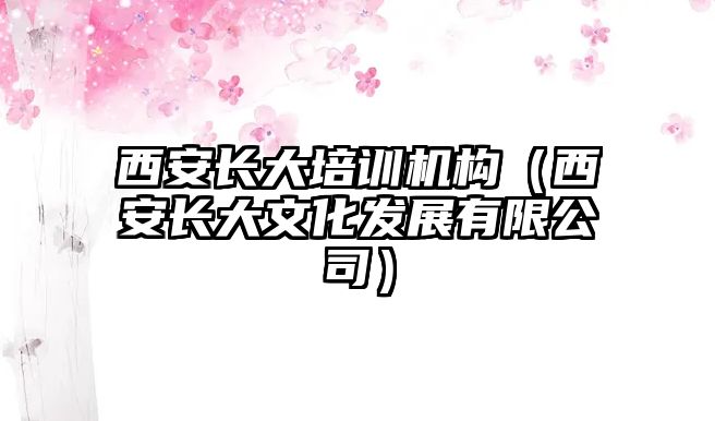 西安長大培訓(xùn)機(jī)構(gòu)（西安長大文化發(fā)展有限公司）